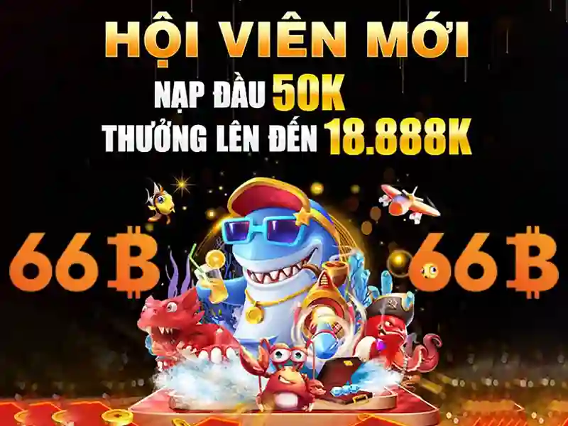 Ưu Đãi 66B