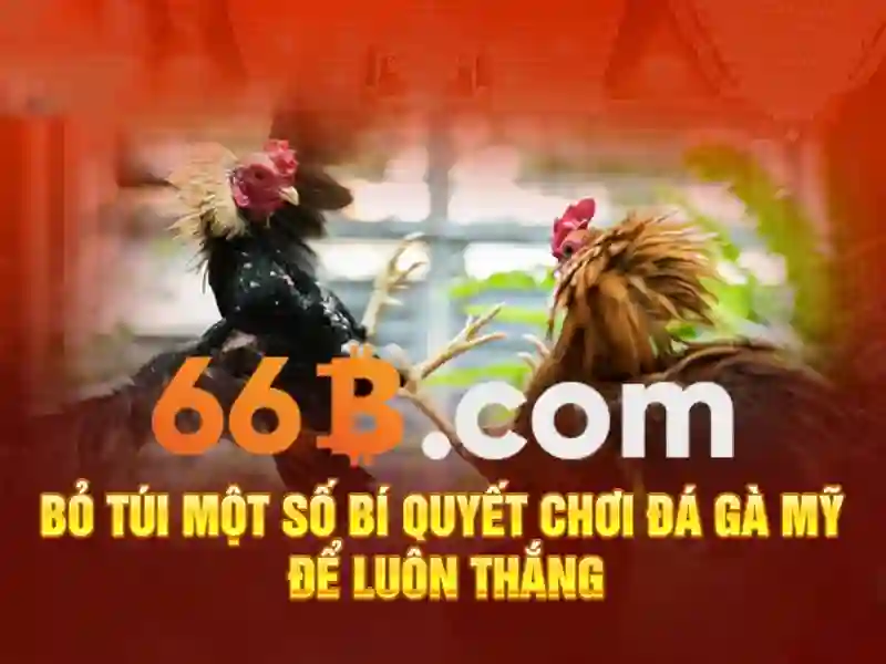 66B – Trang Chủ 66B Club | Trải Nghiệm Slot Đỉnh Cao 2026