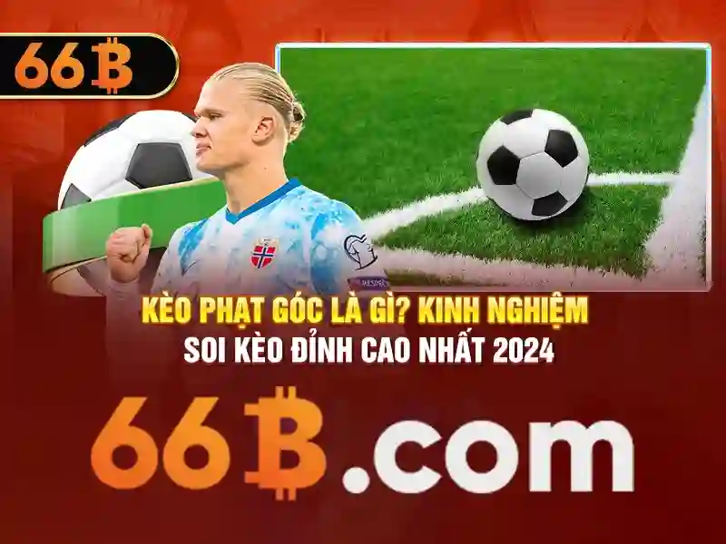 Điều khoản sử dụng 66B