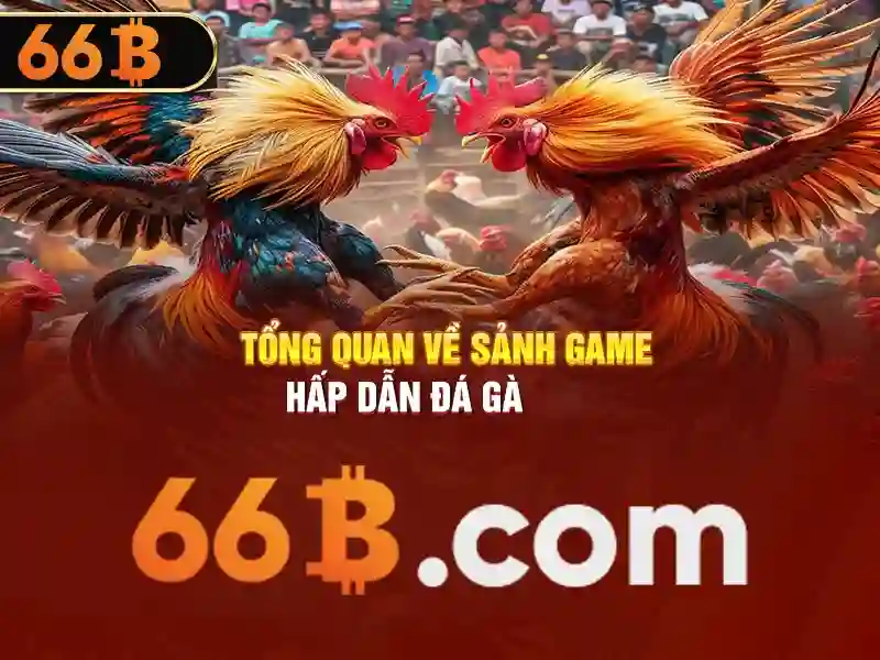 Thể Thao 66B