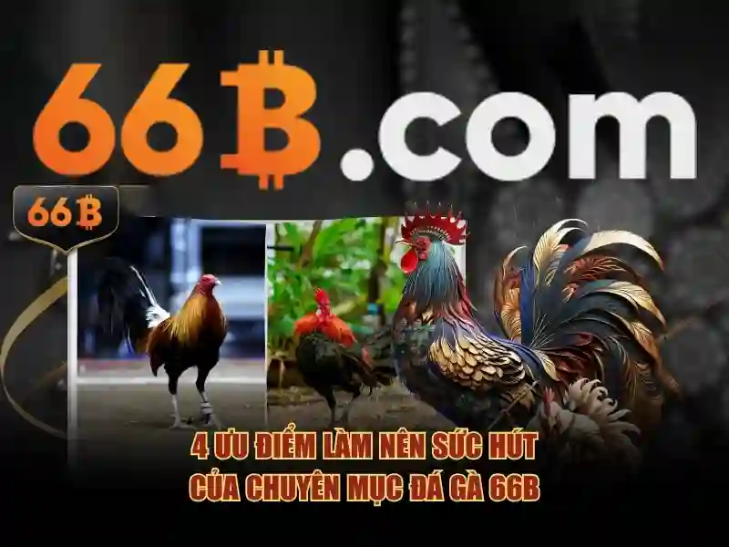 66B: Trải Nghiệm Cá Cược Slot Đa Dạng, Kèo Cược Hấp Dẫn Không Bị Chặn 2026