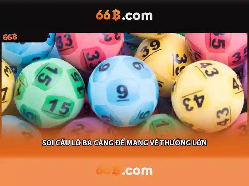 Quy Trình Hỗ Trợ 66B