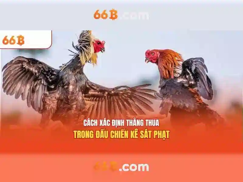 66B – Trang Chủ 66B – Slot, Casino, Thể Thao, Bóng Đá, Cá Cược, Kèo Tỷ Lệ 2026