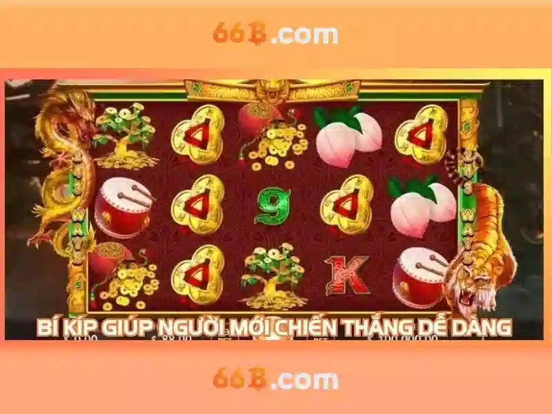Quy Trình Liên Hệ 66B