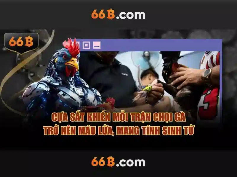 Trải Nghiệm Cá Cược Với Link 66b