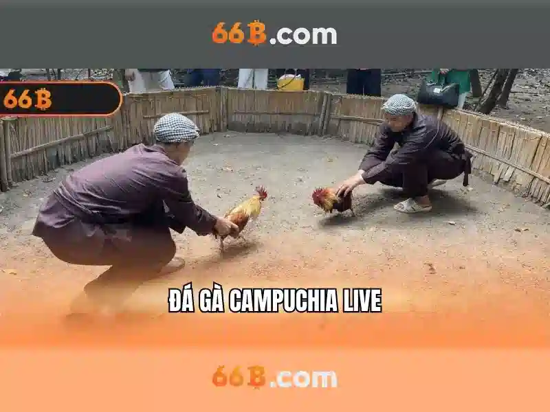 trang chủ 66b