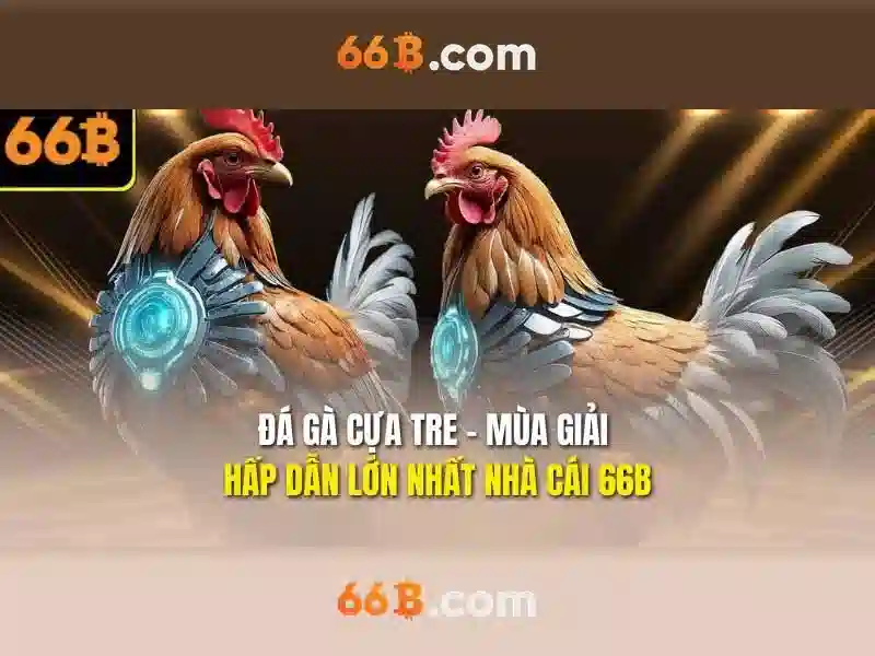 Hướng Dẫn Giao Dịch 66B