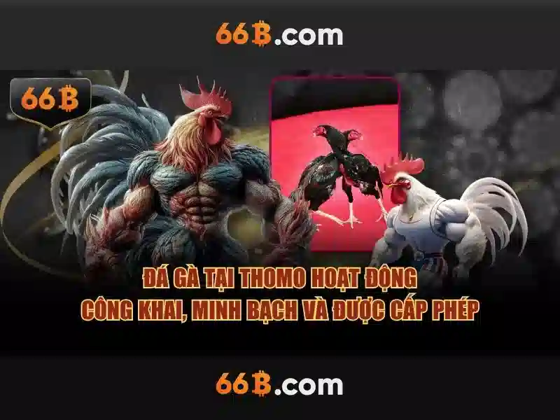 Hướng Dẫn Đăng Ký Tài Khoản 66B