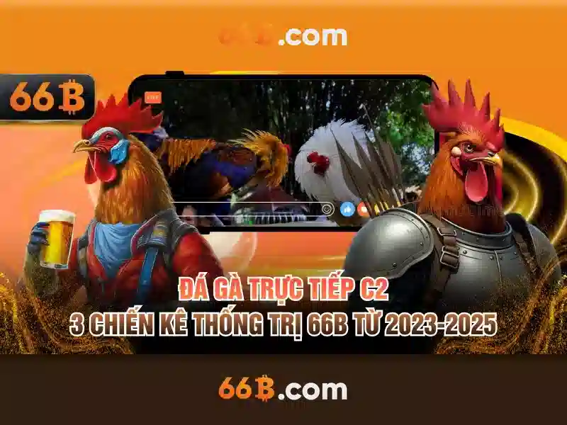 66B – Link Dự Phòng 66B Chất Lượng Cao Cho Người Chơi Slot 2026