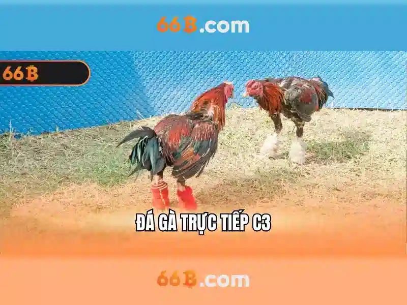 Giao dịch 66B