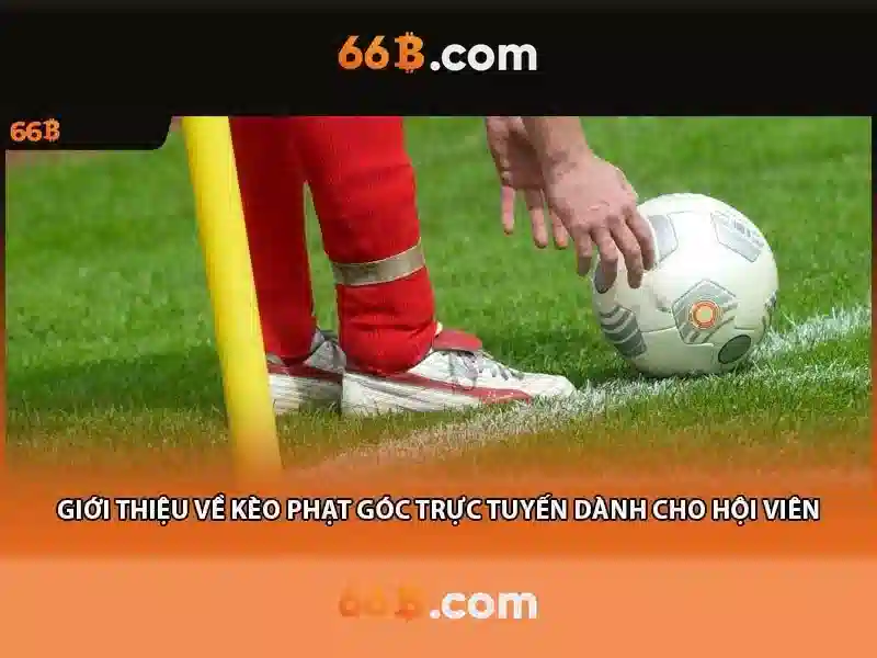 Giới Thiệu Về 66B
