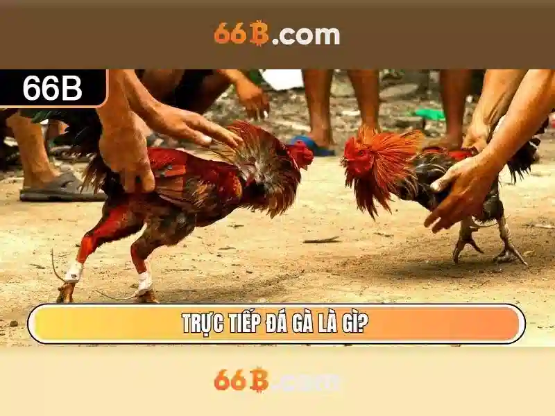 Trải nghiệm Slot 66B