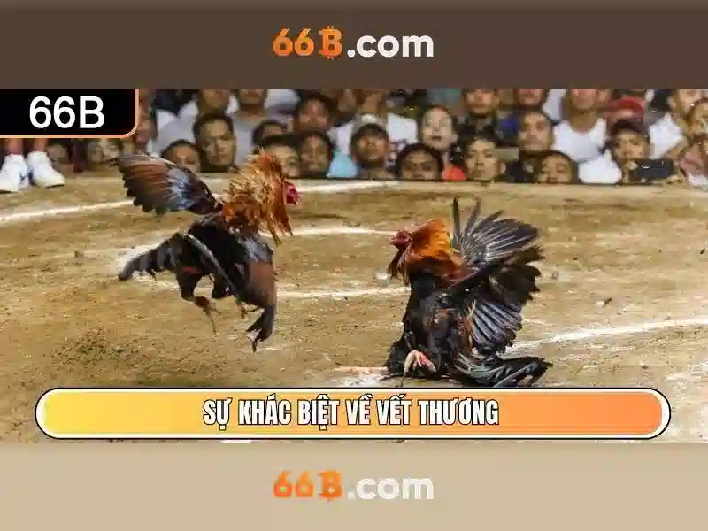 Hướng Dẫn Đăng Nhập 66B