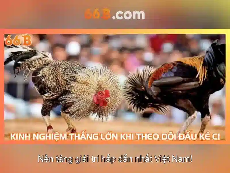 Ưu đãi nạp tiền 66b online