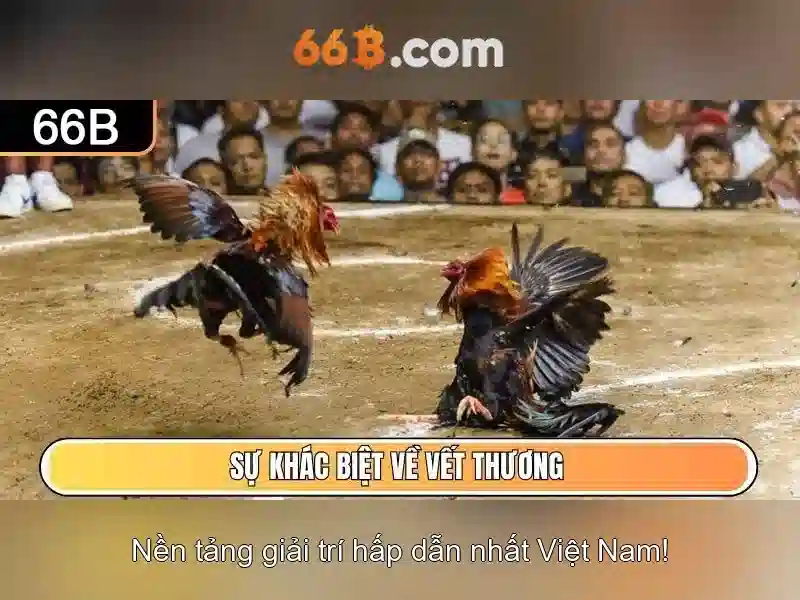 Trải nghiệm slot 66B Android