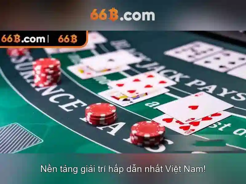 Điều Khoản Và Điều Kiện 66B