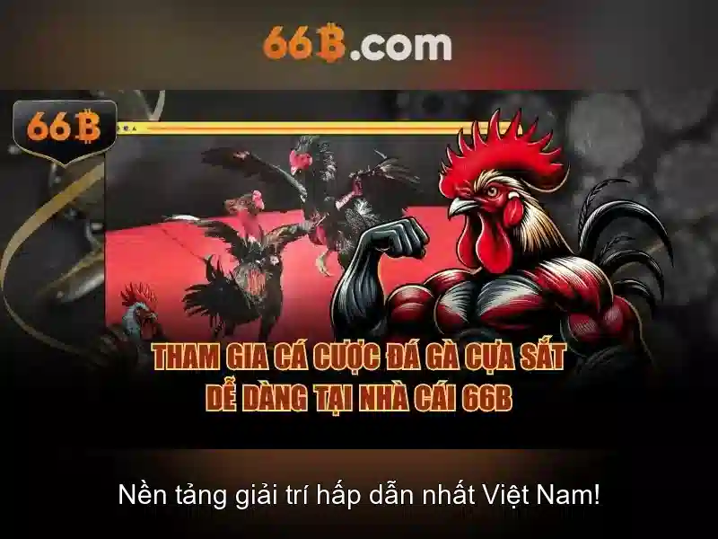 Ưu Điểm Của Mậu Binh 66B