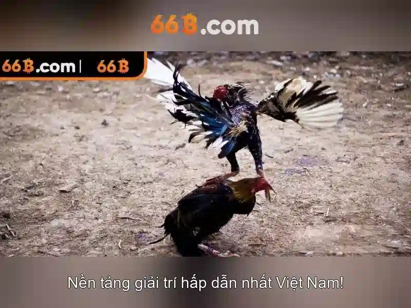 66B – Trải Nghiệm Slot Đỉnh Cao Với Công Nghệ 66B IOS 2026
