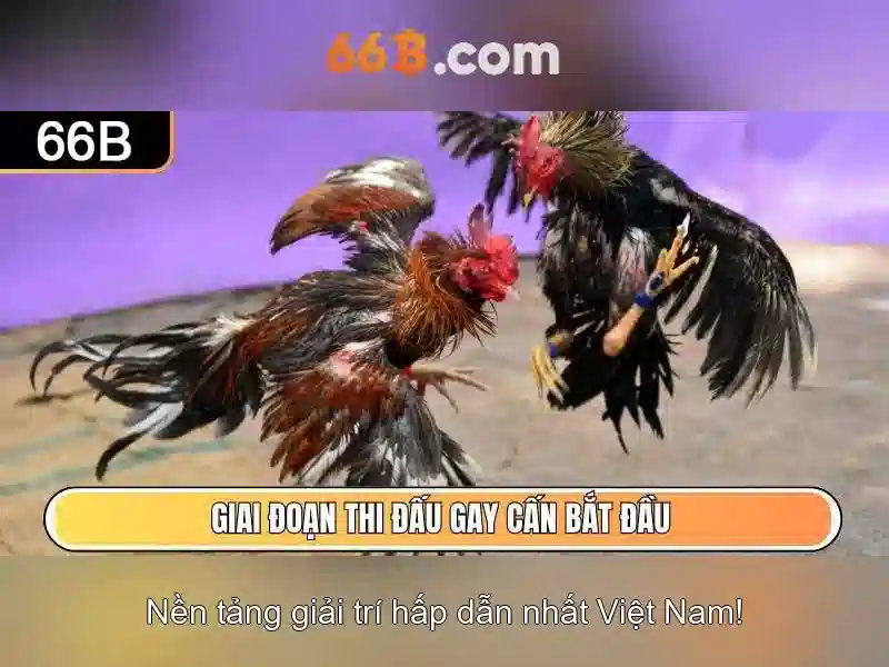 Ưu đãi 66b
