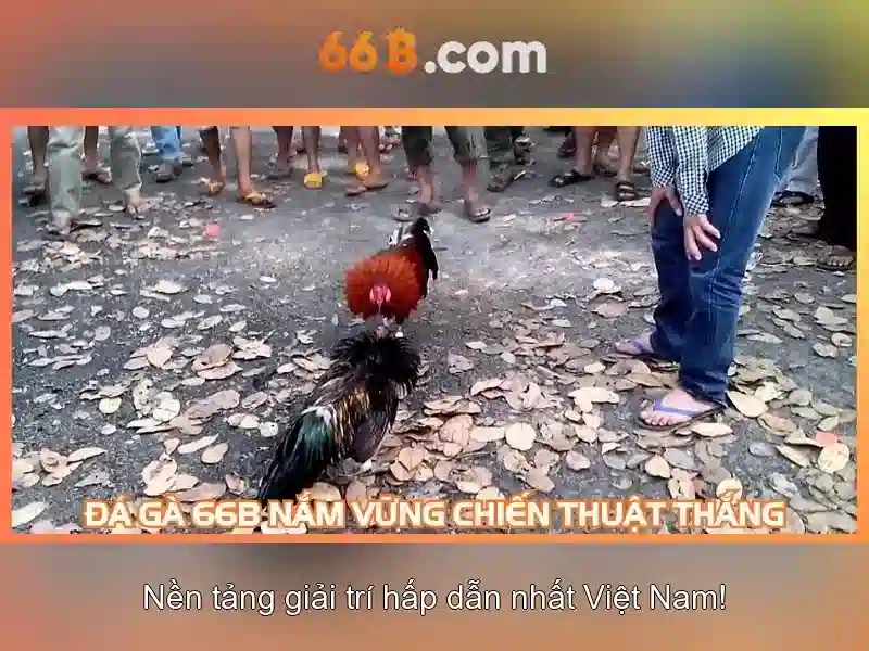 Bước 1: Truy Cập Trang Chủ 66B