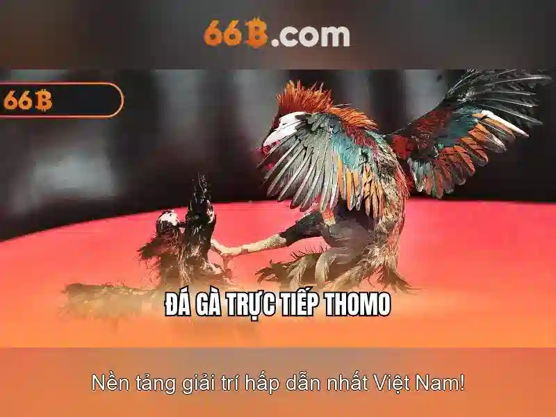 Ưu Đãi Slot 66B
