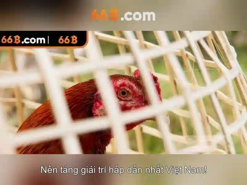 Giải Pháp Tối Ưu Cho Người Chơi Slot
