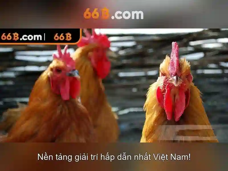 Ưu Đãi Cờ Caro 66B