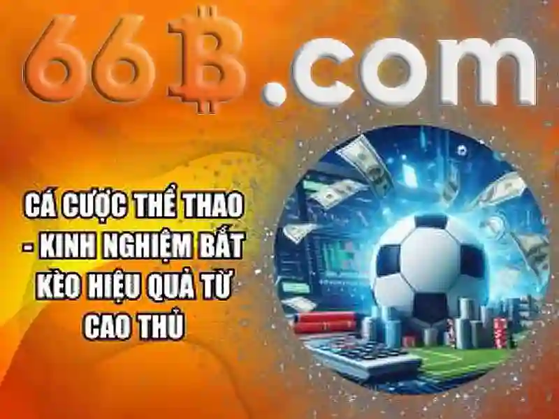 66B – Trang Chủ 66B