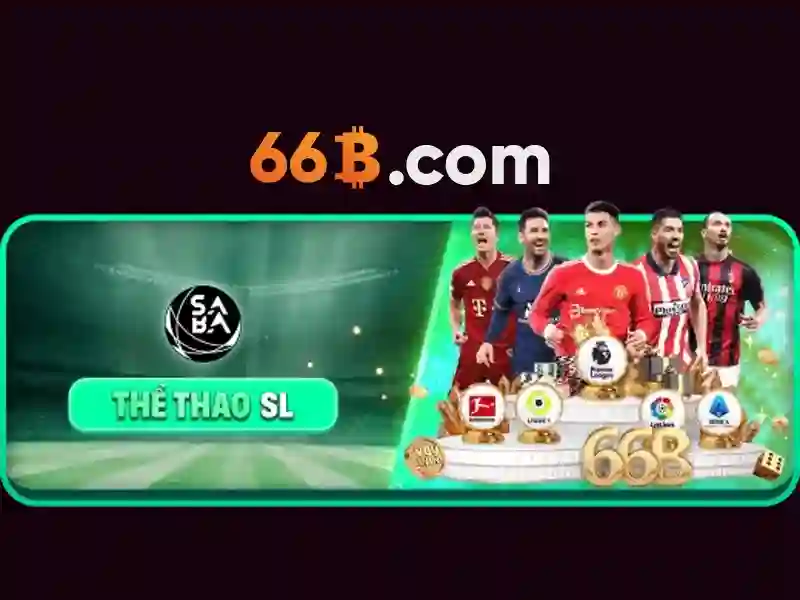 hướng dẫn đăng nhập 66B