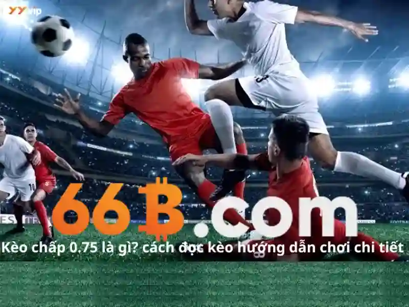 Hướng Dẫn Liên Hệ 66B