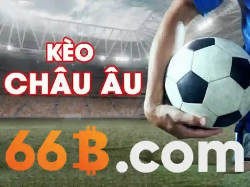 Quy Định Minh Bạch 66B