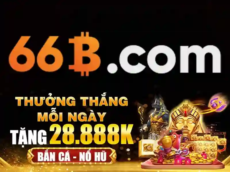 Kèo 66b hoàn tiền
