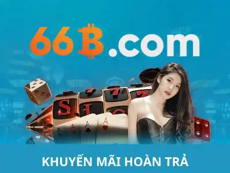Điều khoản sử dụng 66B